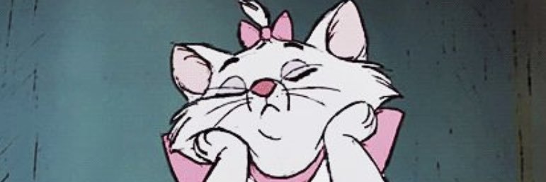 samstever's profile banner image
