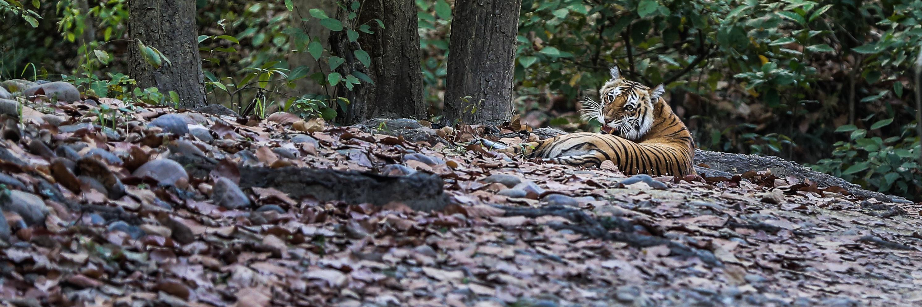 abwildlifephoto's profile banner image