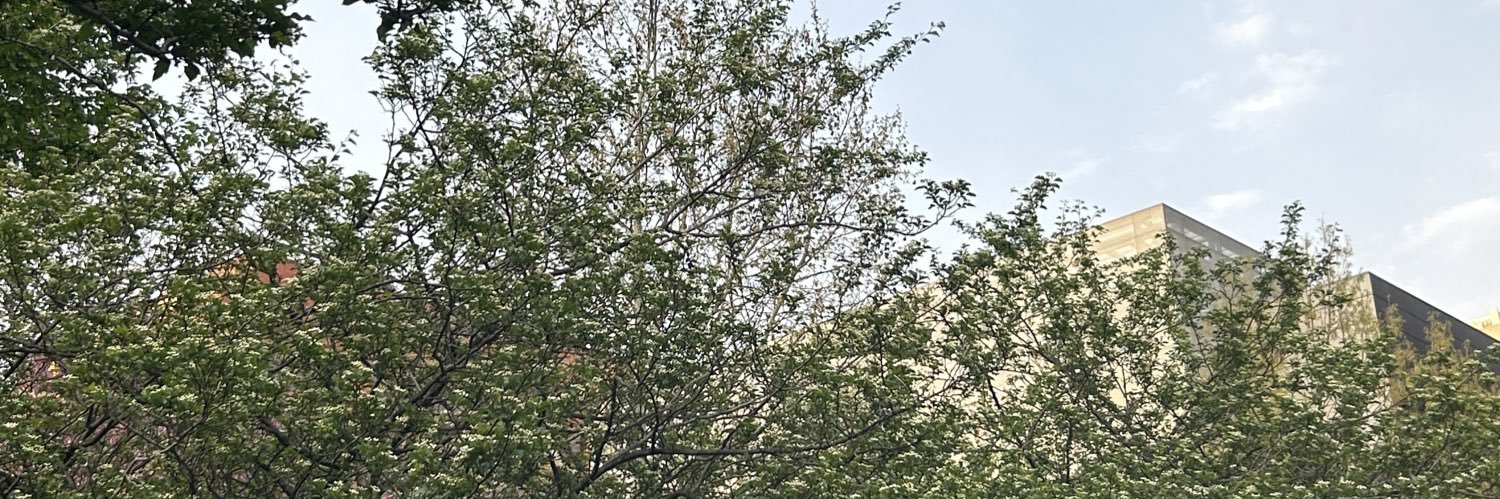 softaeen's profile banner image