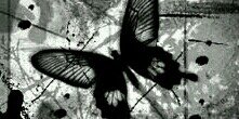 Silvs_p's profile banner image