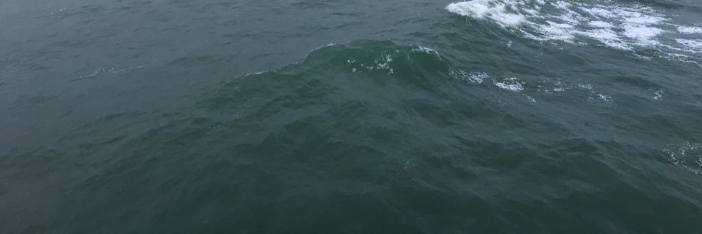 brady_rollins's profile banner image