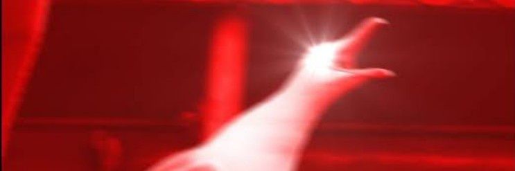 piyathoughts's profile banner image