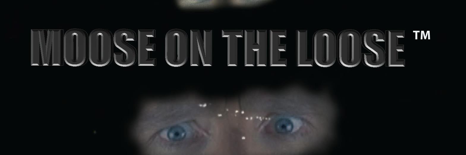 JohnnyJSullivan's profile banner image