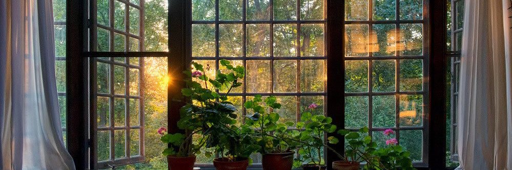 Merve 𓅪 banner