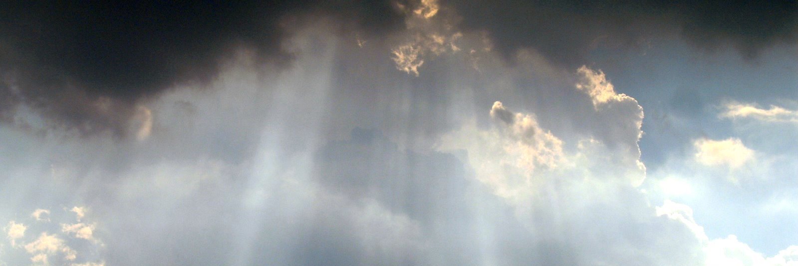 mt_1366's profile banner image