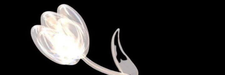 jillian_diel15's profile banner image