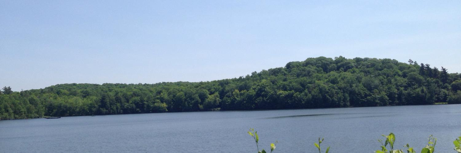 Fanatic82 📯 banner