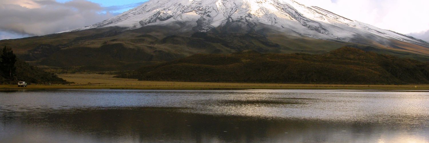 slecaror's profile banner image
