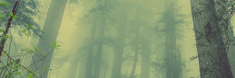 daren_mic's profile banner image