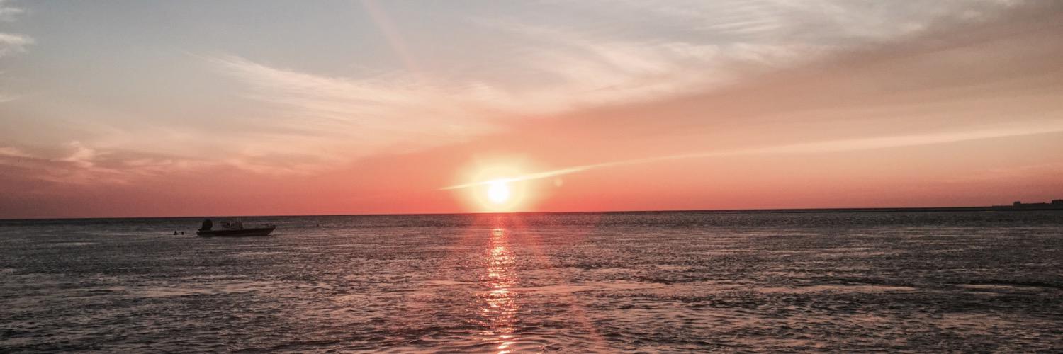 SaraBee418's profile banner image