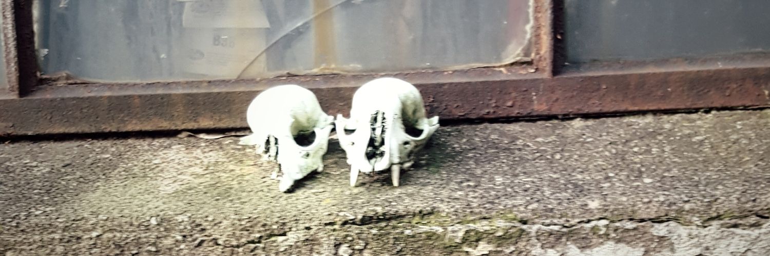 scratchdej's profile banner image