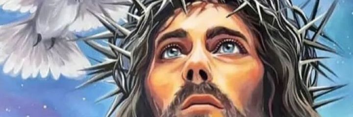BEATRIZ2135's profile banner image