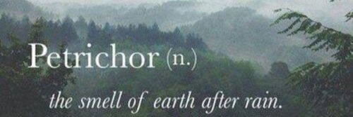 mindlgrrl's profile banner image