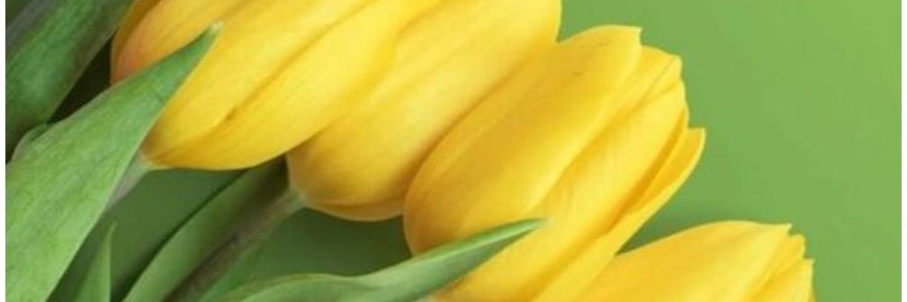 Bebe_Kath134's profile banner image