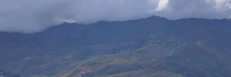 Sñor Litos banner