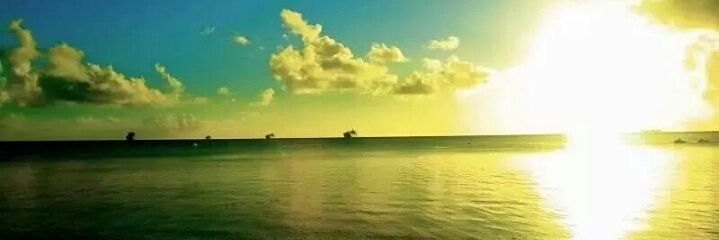 ftdikhgrade's profile banner image
