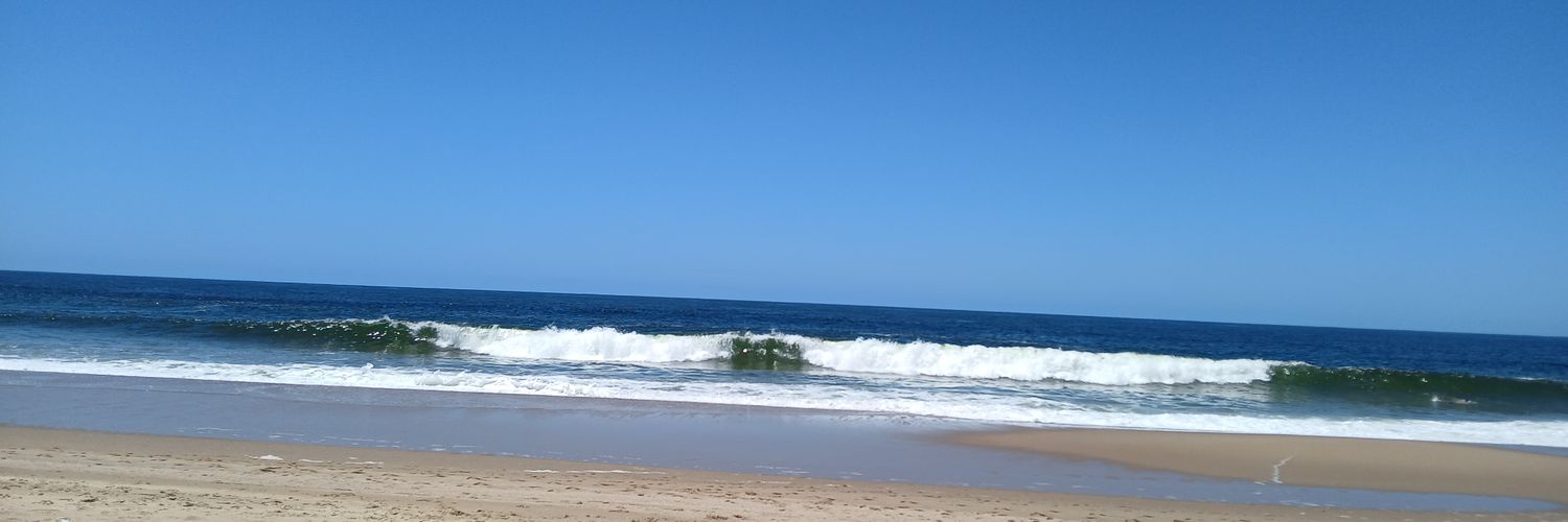 BCibil's profile banner image