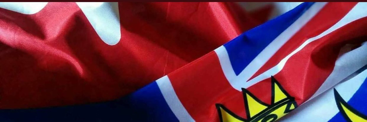 BCMDRT's profile banner image