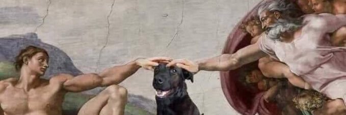 Lorena (FreePalestine 🇵🇸) banner