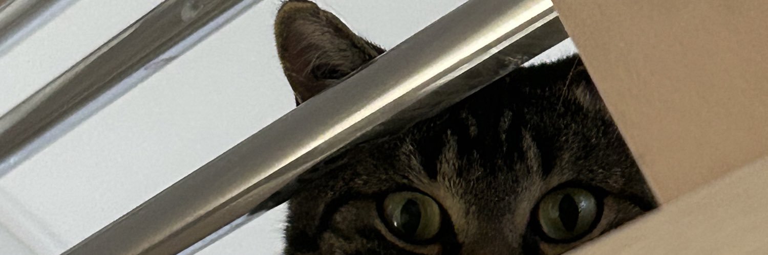 clemchampion's profile banner image