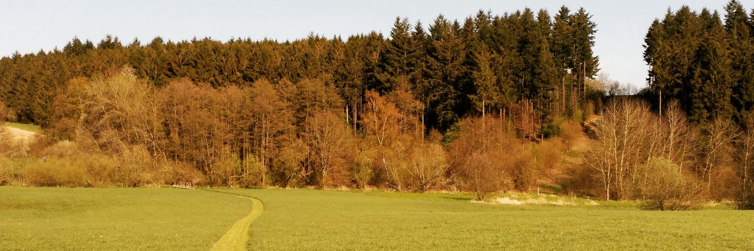 107Albertico's profile banner image
