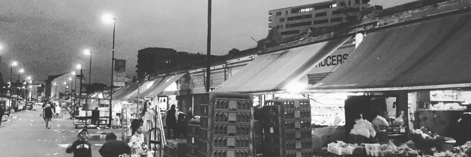 𝔇𝔢𝔢𝔭𝔠𝔥𝔦𝔩𝔡 / 𝔄𝔠𝔥𝔞𝔯𝔫𝔢́ 🌱 banner