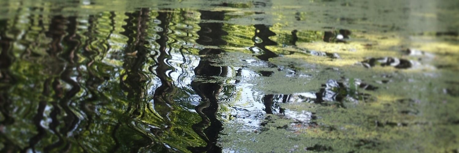DeepKathleen's profile banner image
