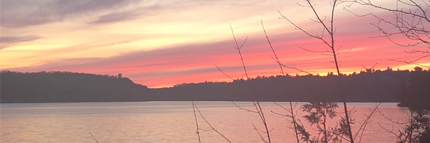 StephGuest55's profile banner image