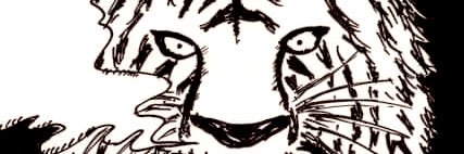 🧧🐯ᗩϒᘮᙢᓰ🐯🧧 banner