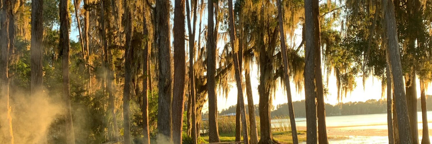 woebot's profile banner image