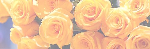 EmmmHayy's profile banner image