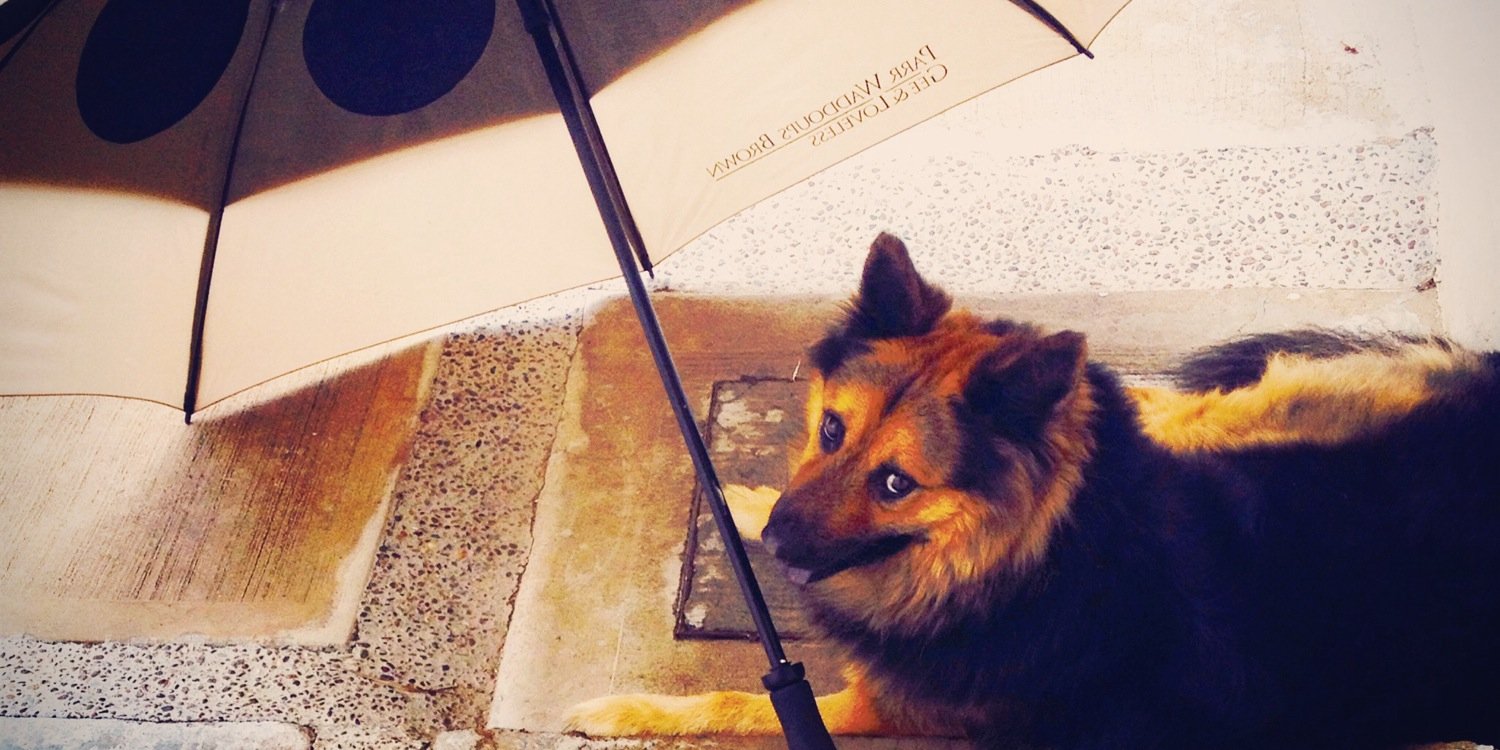 SamSalander's profile banner image