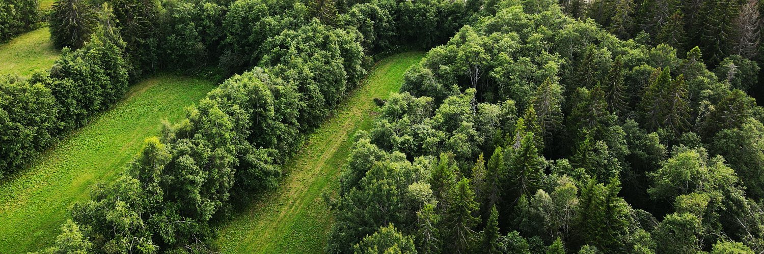 Johan Wallström banner