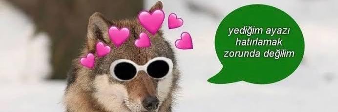 firtti's profile banner image