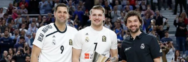 Nevus de Becker banner