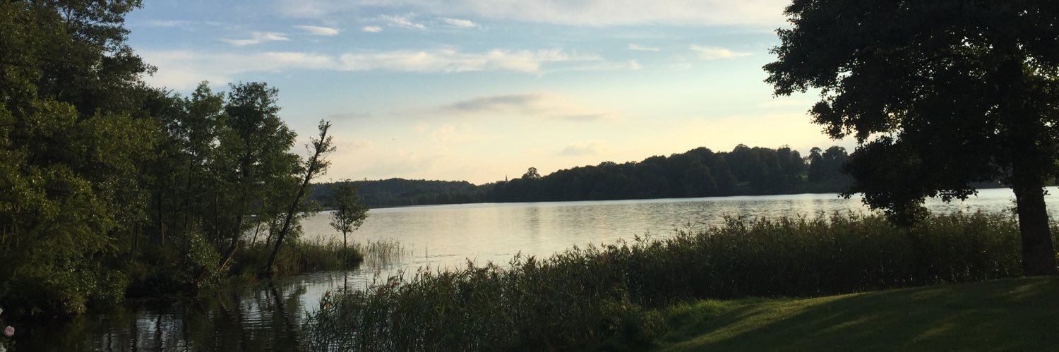 AnnaKarin Larsson banner