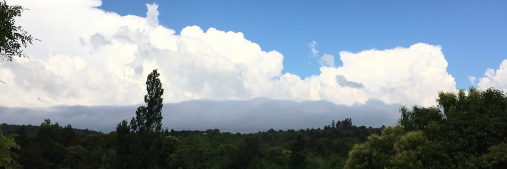 agustinlarralde's profile banner image