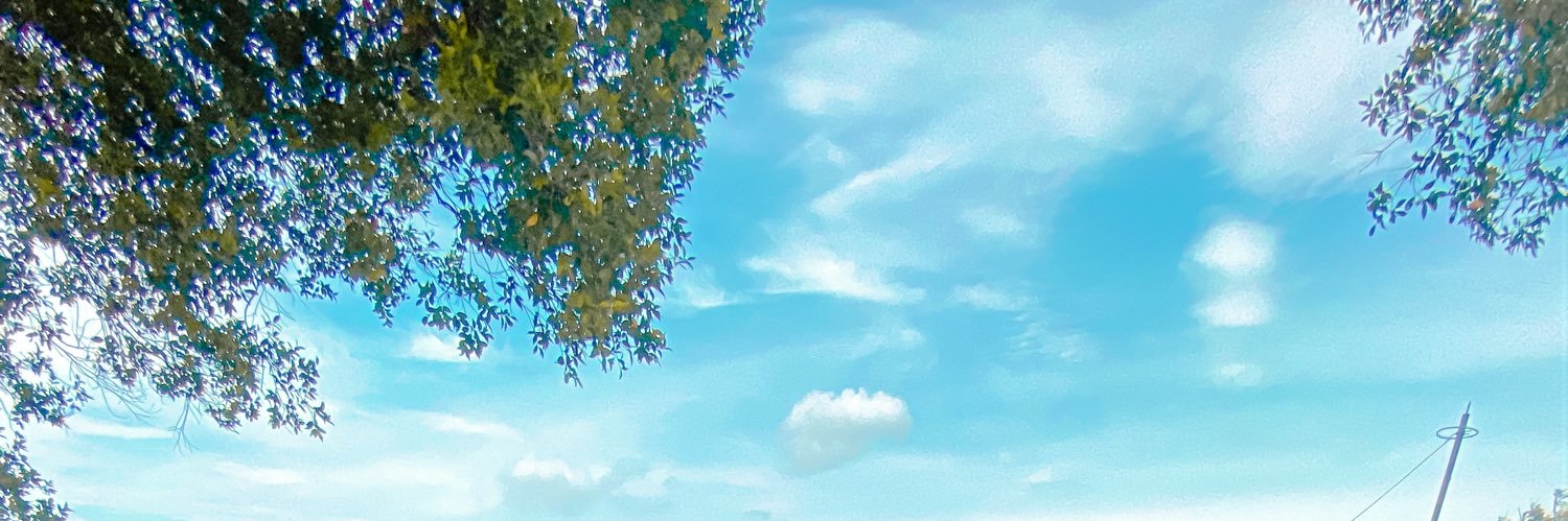 muhdamminuddin's profile banner image