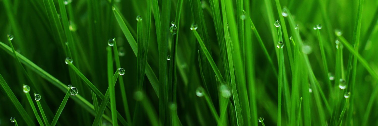 Brogan Marie banner
