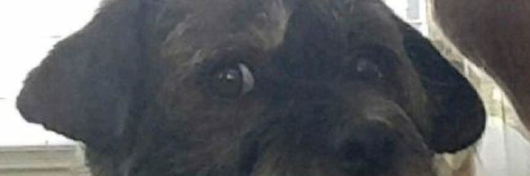 sKEAT519's profile banner image