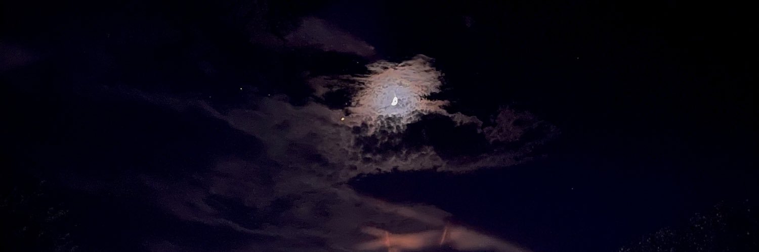 maddieryleee's profile banner image
