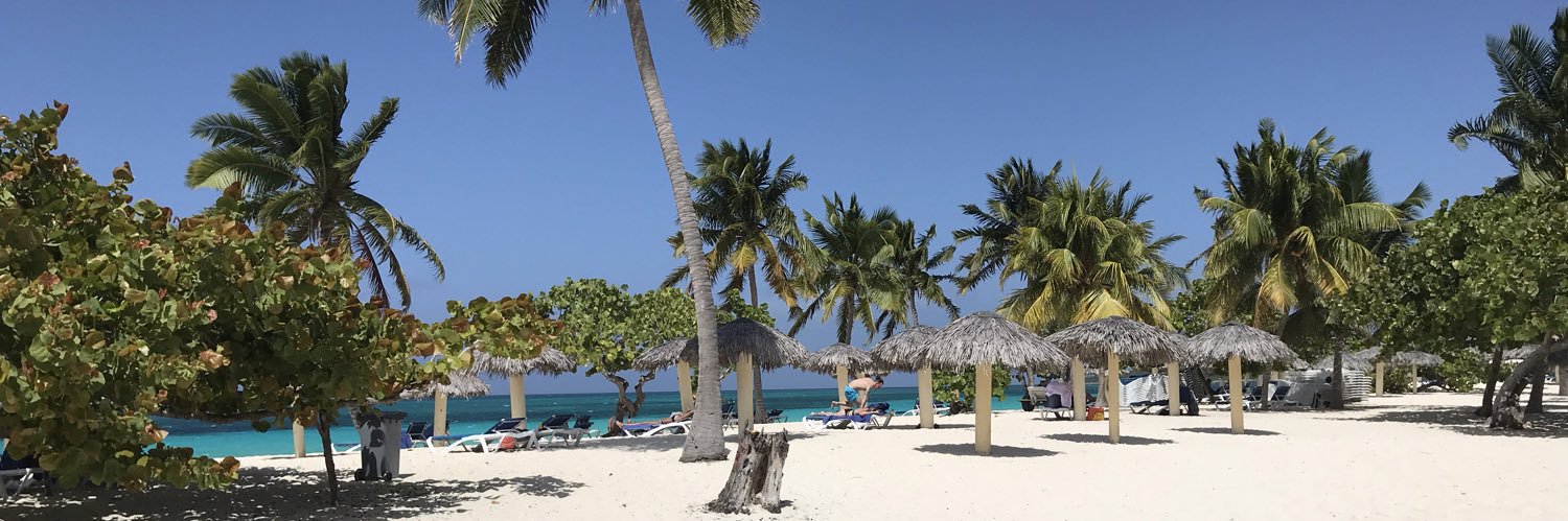 Sue Lightfoot banner