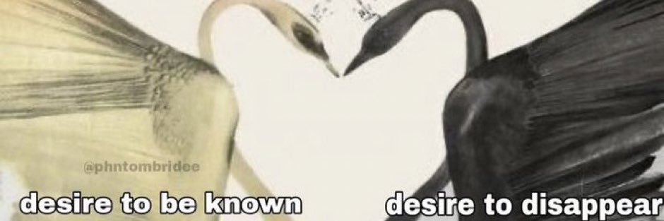 bas_jr's profile banner image