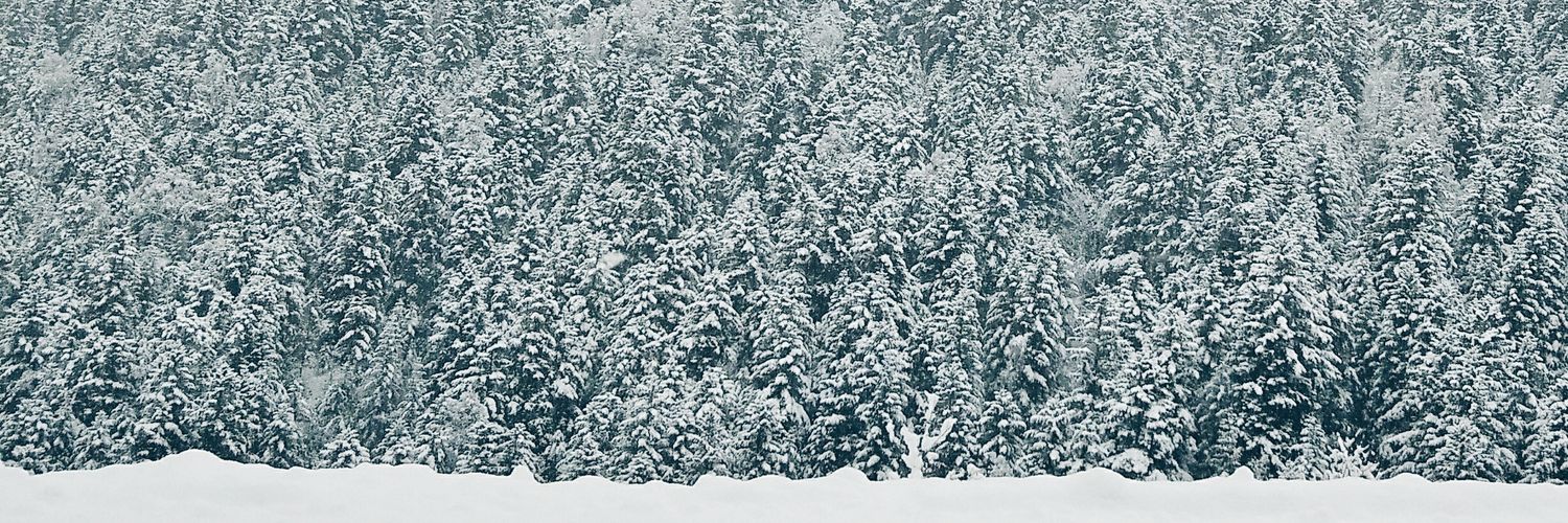 hcasasca's profile banner image