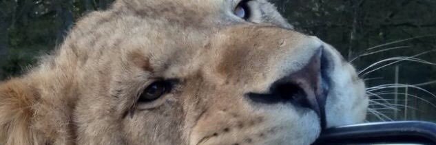 anasteyechea's profile banner image