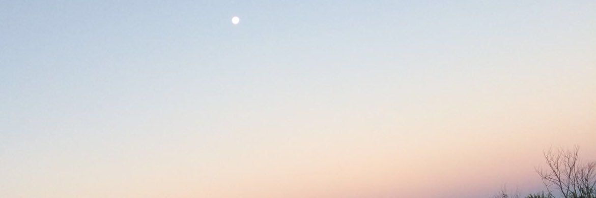 carlaxoxo___'s profile banner image
