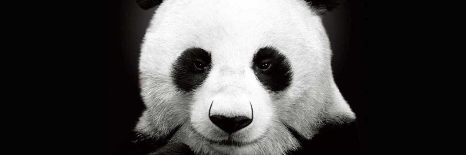 ignasi belver edo banner