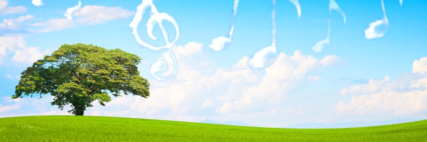crowd_sound's profile banner image