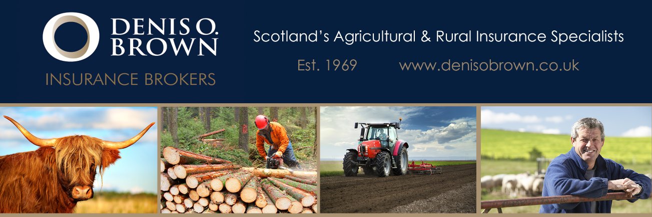 Denis O. Brown Insurance Brokers banner