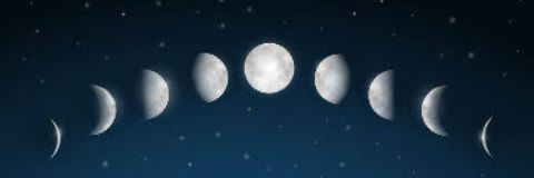 _rodrigues29's profile banner image
